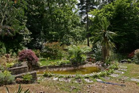 Pinewood House - 