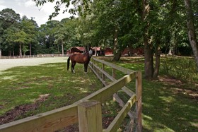 Pinewood House - 