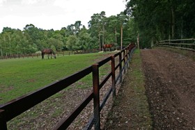 Pinewood House - 