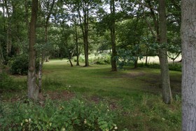 Pinewood House - 