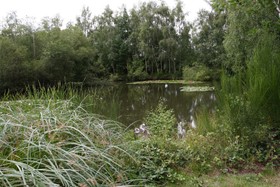 Pinewood House - 