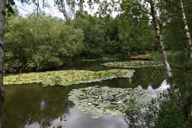 Pinewood House - lake