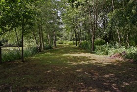Pinewood House - 