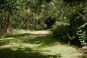Pinewood House - 