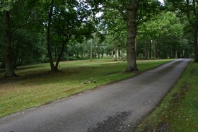 Pinewood House - driveway