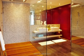 Roger's Penthouse - modern,bathroom,shower
