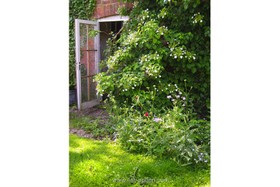 Rose Villa - 