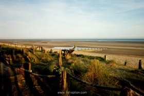Seascape - 
