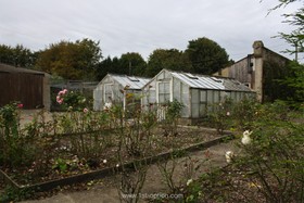 Shackleton - greenhouse