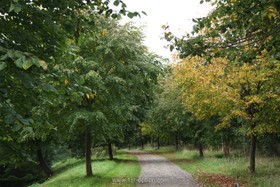 Shackleton - driveway