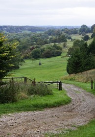 Shackleton - driveway