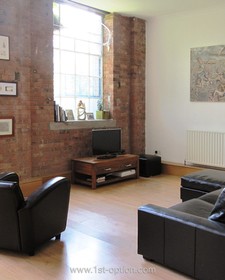 Spratts Factory - exposed brick,floor - light,floor - wooden,living room,modern