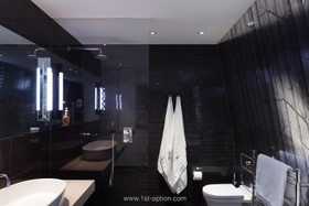 Viola - modern,shower