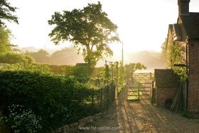 Walnuts Farm - 
