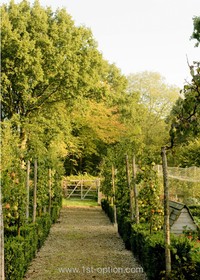 Walnuts Farm - 