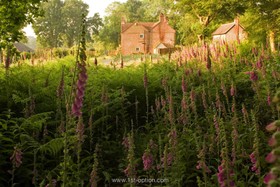 Walnuts Farm - 