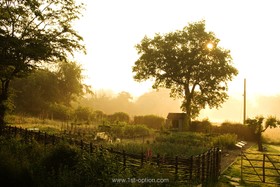 Walnuts Farm - 