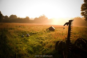 Walnuts Farm - 