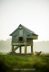 Walnuts Farm - 