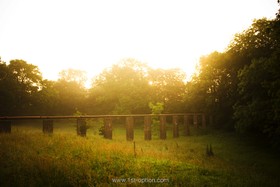 Walnuts Farm - 