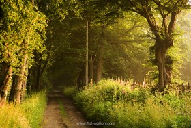Walnuts Farm - 