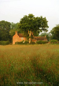 Walnuts Farm - 