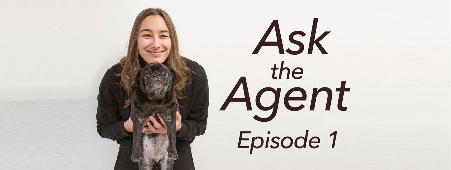 Ask the Agent: Episode 1