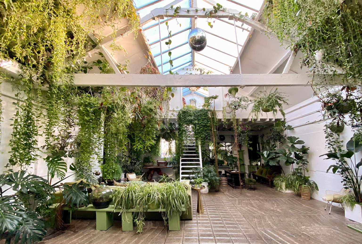 It’s a jungle out there…