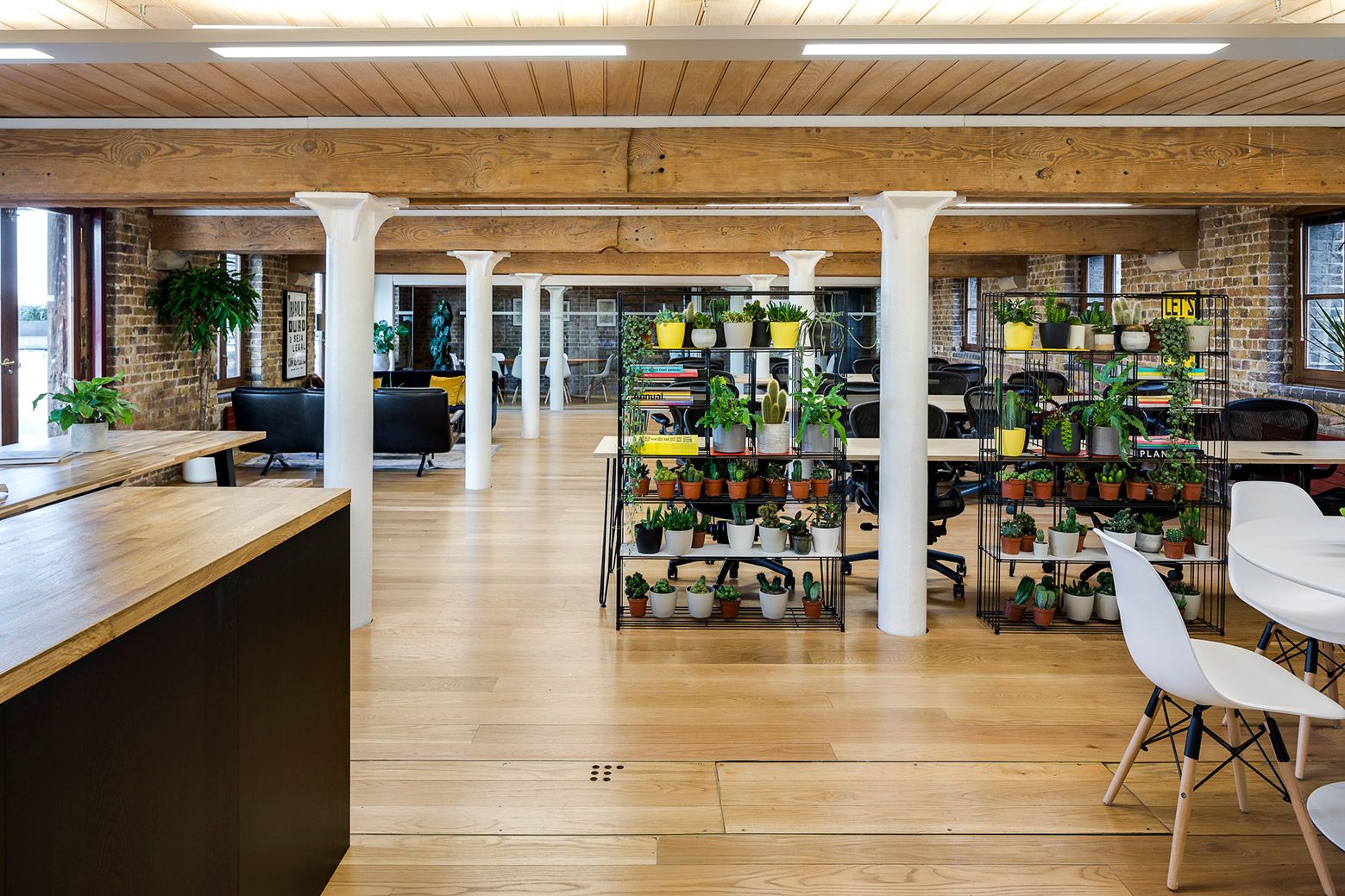 An abundance of original features at coin