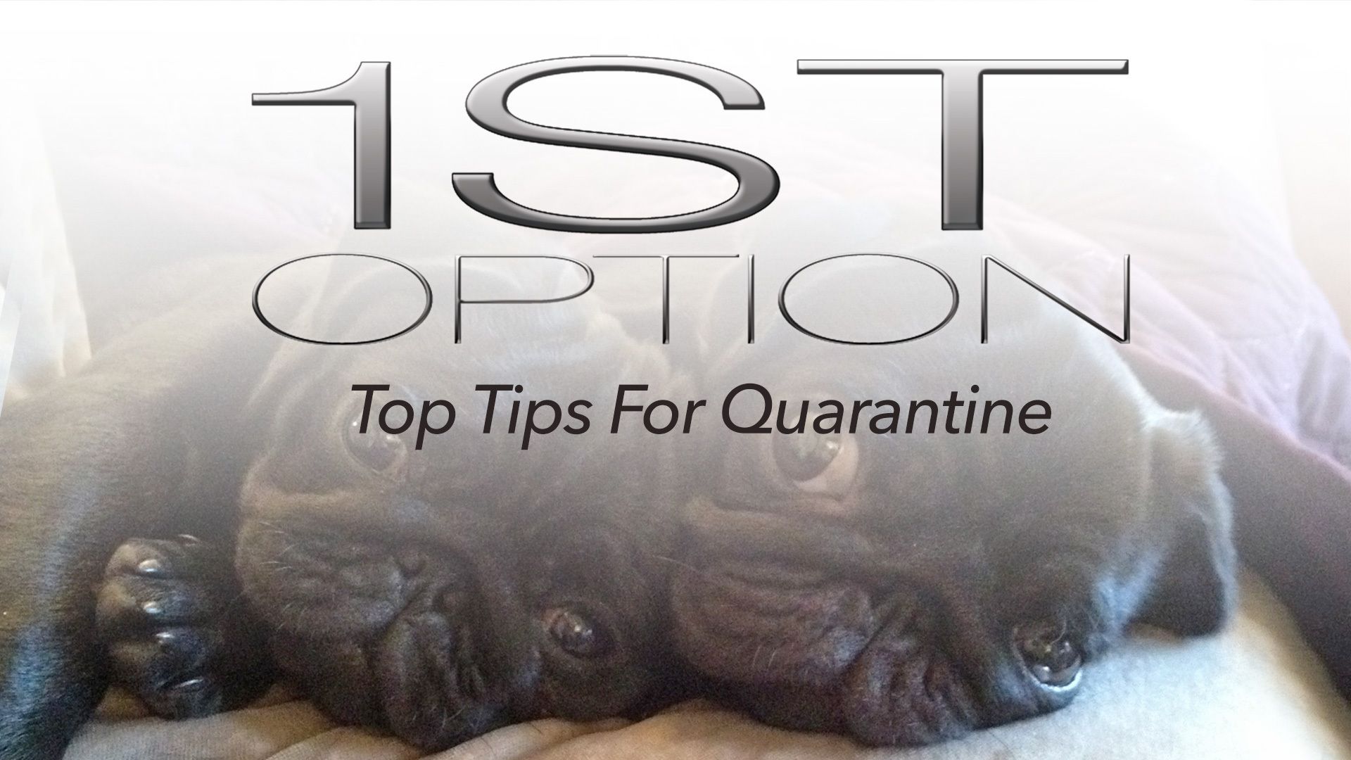 Top Tips For Quarantine