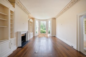 Acanthus - thumbnail
