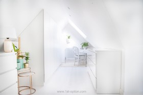 Apollo - thumbnail