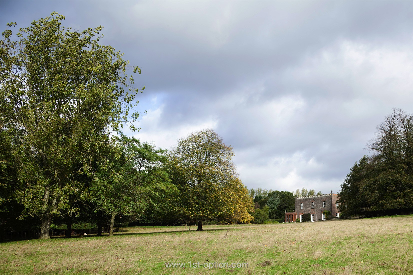 Arbor Shoot Location Hertfordshire 1st Option