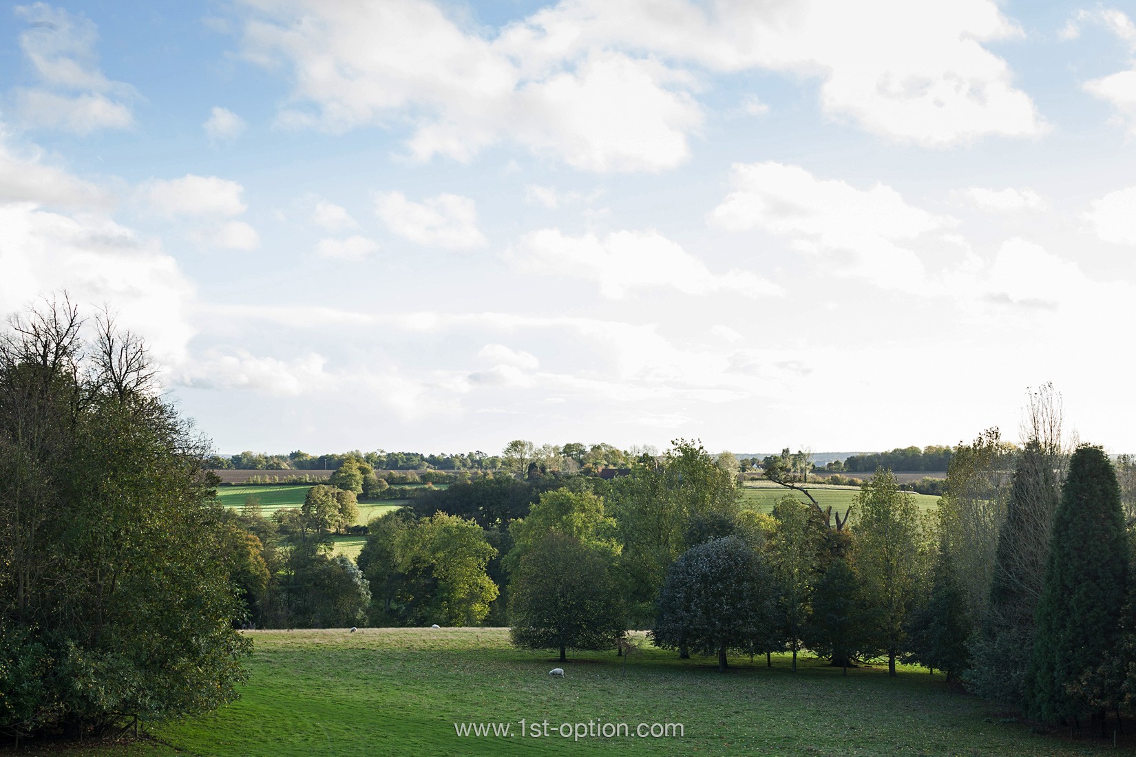 Arbor Shoot Location Hertfordshire 1st Option