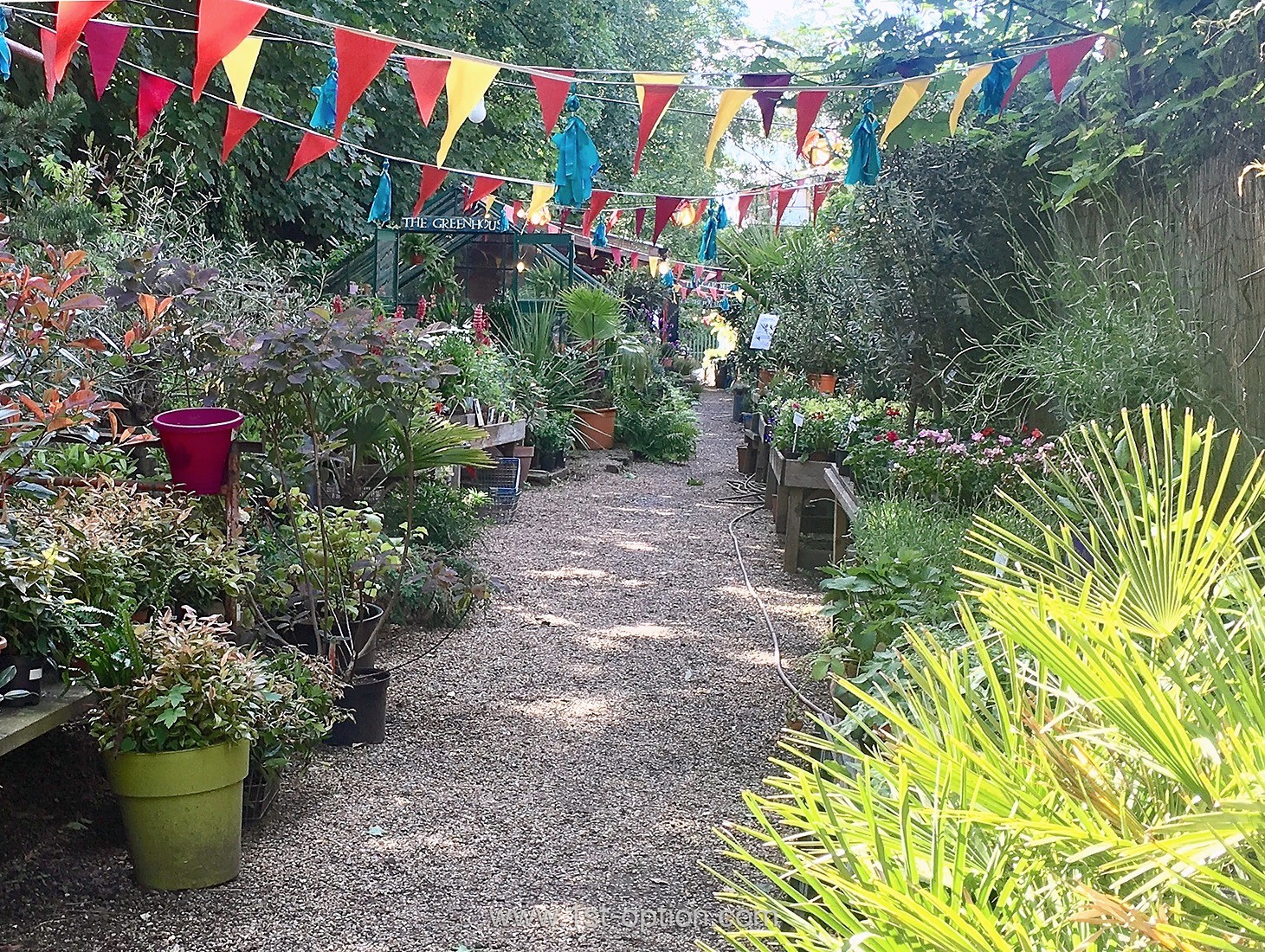 Battersea Flowers Shoot Location London 1st Option