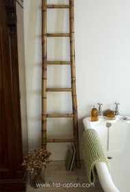 Belmont House - thumbnail