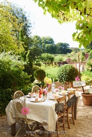 Belmont House - thumbnail