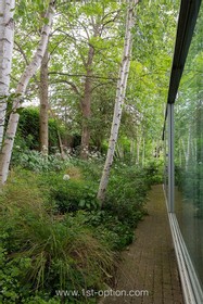 Birchwood House - modern house primrose hill architecture grand designs minimalistic industrial  - thumbnail