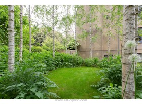 Birchwood House - modern house primrose hill architecture grand designs minimalistic industrial  - thumbnail
