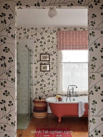 Blush - Victorian red family home kensal rise pastel house wallpaper  - thumbnail
