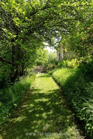 Botley - thumbnail