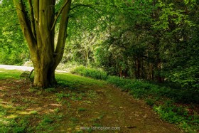 Botley - thumbnail