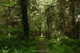 Botley - thumbnail