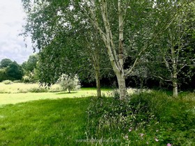 Broadhurst Gardens - thumbnail