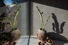 Camden Workshop - thumbnail