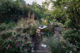 Camden Workshop - thumbnail