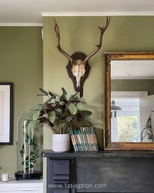 Chipstead - thumbnail