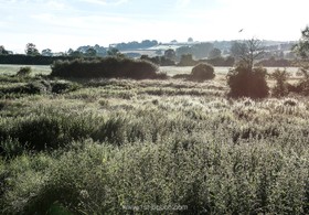 Cotswolds Mill - thumbnail