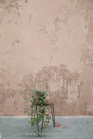 Cotton Studio - thumbnail