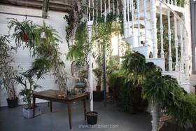 Cotton Studio - thumbnail